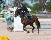 ARIOLDI F AGADIR ItaAss2013- S5 1250 : AGADIR, ARIOLDI FRANCESCA, Campionati Italiani 2013, Cattolica, Horse Riviera Resort, foto di Stefano Secchi ©